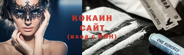 дмт Богданович