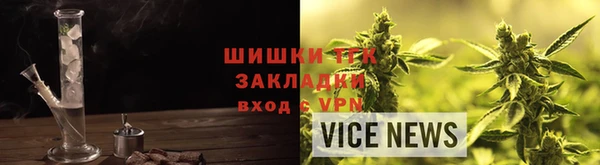 дмт Богданович