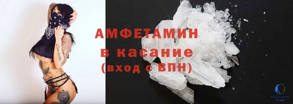 дмт Богданович