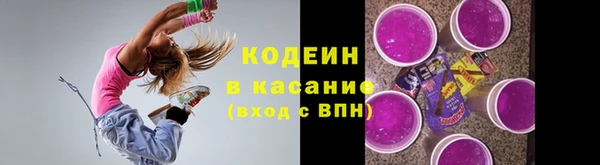 стаф Богородск