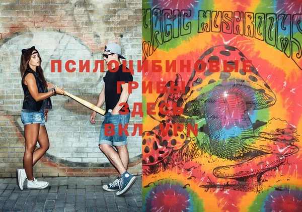 стаф Богородск