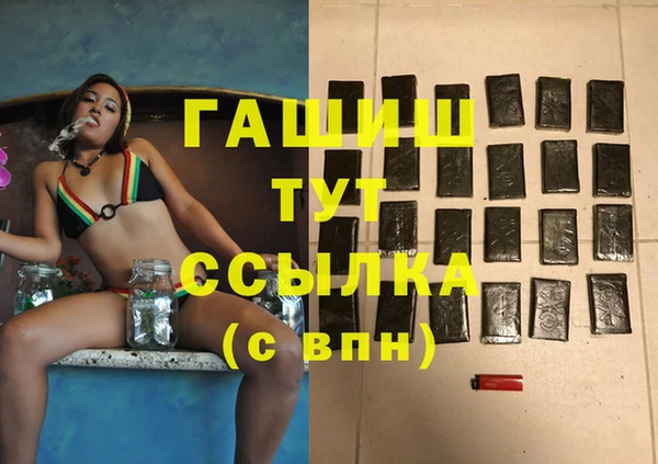 дмт Богданович