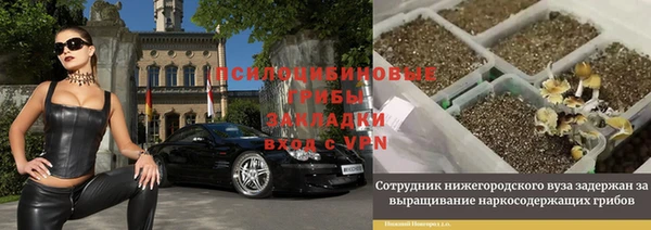 дмт Богданович