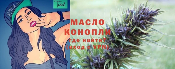 стаф Богородск
