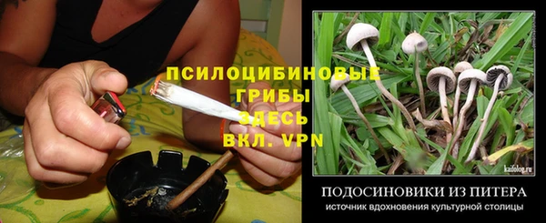 первитин Богородицк