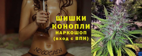 стаф Богородск