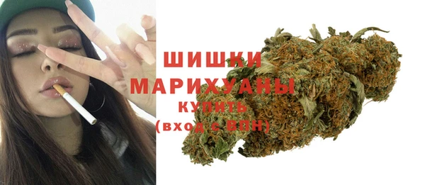 дмт Богданович