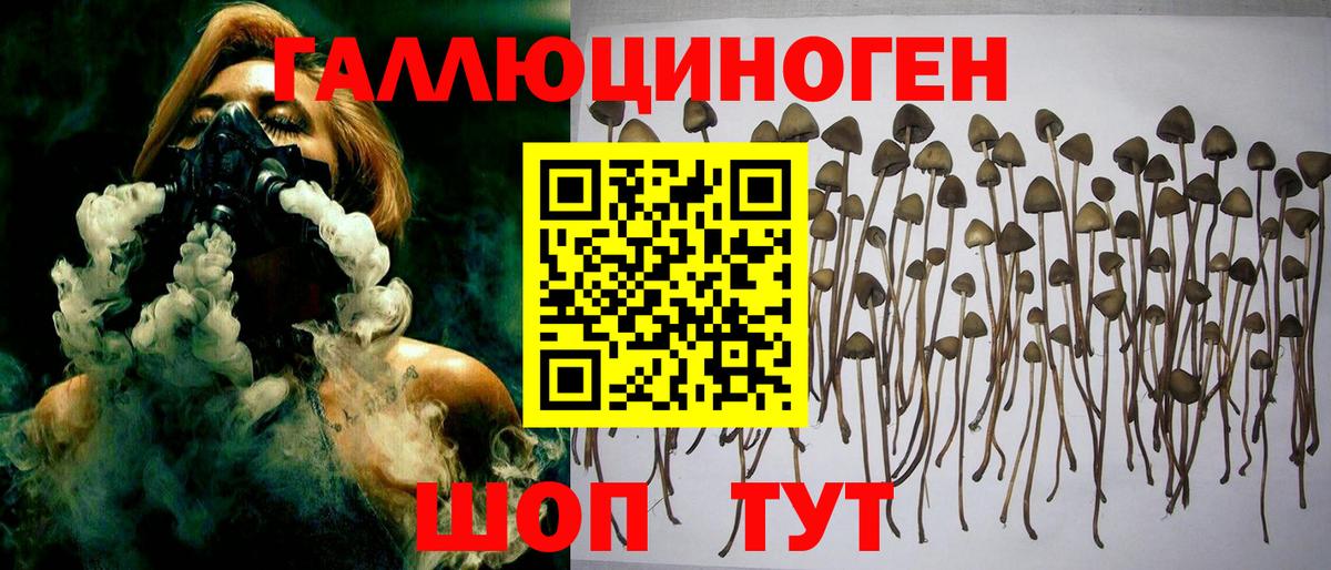 Псилоцибиновые грибы прущие грибы Воркута